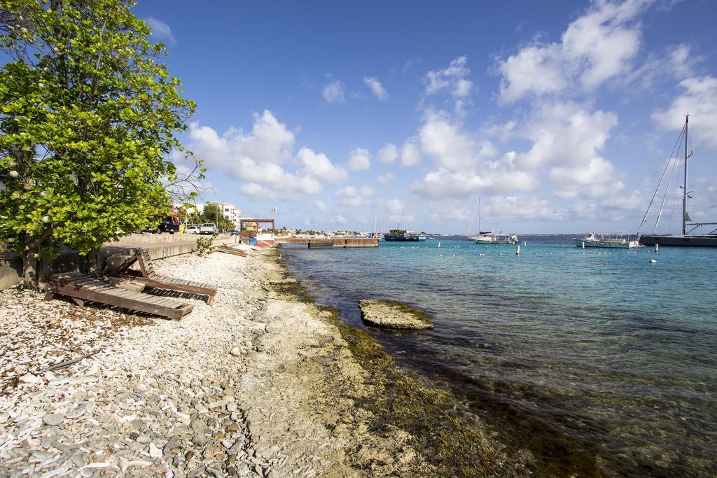 Beach House Sea You Soon Playa Eksteriør bilde